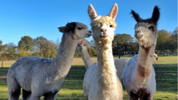 Image 8 of 9 -
            Experience the Wim Hof Method to get an impression of  at 