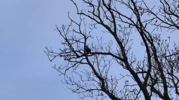 Image 11 of 16 -
            Experience the Wim Hof Method to get an impression of  at 