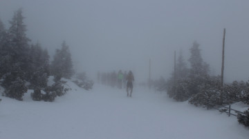 Image 15 of 20 -
            Experience the Wim Hof Method to get an impression of  at 