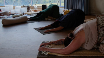 Image 9 of 43 -
            Experience the Wim Hof Method to get an impression of  at 