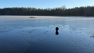 Image 14 of 14 -
            Experience the Wim Hof Method to get an impression of  at 