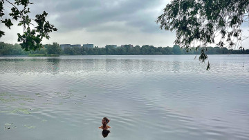 Image 1 of 1 -
            Experience the Wim Hof Method to get an impression of  at 