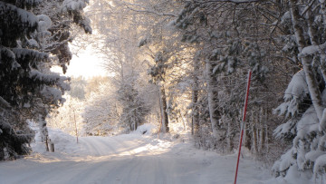 Image 3 of 3 -
            Experience the Wim Hof Method to get an impression of  at 