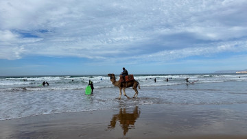 Image 14 of 31 -
            Experience the Wim Hof Method to get an impression of  at 