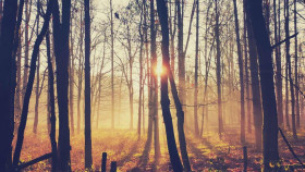 Image 1 of 7 -
            Experience Nature to get an impression of Weekend at Landen