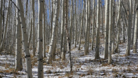 Image 13 of 14 -
            Experience Theory to get an impression of Weekend at Sugarloaf