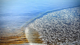 Image 27 of 29 -
            Experience Theory to get an impression of WHM Weekend at Český Krumlov