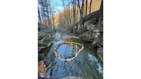 Image 4 of 12 -
            Experience Theory to get an impression of WHM Grundlagen-Workshop at Spechbach