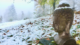 Image 1 of 1 -
            Experience Yoga to get an impression of WHM Weekend at Brienz