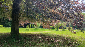 Image 8 of 8 -
            Experience Nature to get an impression of Weekend at Yvoir