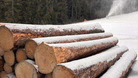 Image 29 of 29 -
            Experience Theory to get an impression of WHM Weekend at Český Krumlov