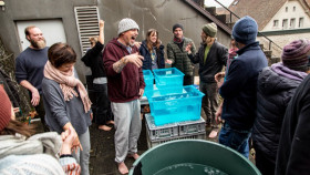 Image 10 of 23 -
            Experience Yoga to get an impression of WHM Fundamentals Workshop at Zürich