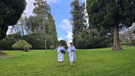 Image 13 of 19 -
            Experience Nature to get an impression of WHM Fundamentals Workshop at Cheltenham