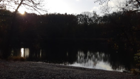 Image 1 of 5 -
            Experience Nature to get an impression of WHM Fundamentals Workshop at Werkendam