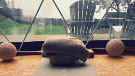 Image 1 of 5 -
            Experience Nature to get an impression of WHM Fundamentals Workshop at Diest