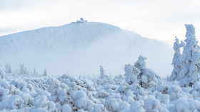 Image 6 of 10 -
            Experience Nature to get an impression of WHM Travel Experience at Przesieka