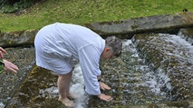 Image 14 of 19 -
            Experience Nature to get an impression of WHM Fundamentals Workshop at Cheltenham