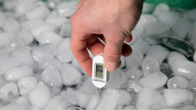 Image 21 of 25 -
            Experience Yoga to get an impression of WHM Grundlagen-Workshop at Bremgarten