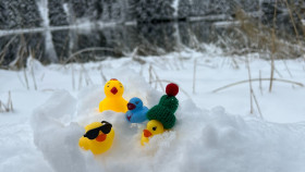 Image 11 of 13 -
            Experience Ice Bath to get an impression of WHM Grundlagen-Workshop at Arosa