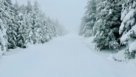 Image 2 of 32 -
            Experience Breathing to get an impression of WHM Reisen at Elbingerode (Harz)
