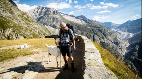Image 6 of 74 -
            Experience Yoga to get an impression of Travel at Riederalp