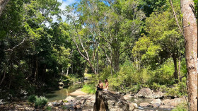 Image 7 of 14 -
            Experience Nature to get an impression of Wim Hof Weekend — Australia at Wilsons Creek
