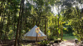 Image 10 of 14 -
            Experience Nature to get an impression of Wim Hof Weekend — Australia at Wilsons Creek