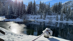 Image 3 of 13 -
            Experience Ice Bath to get an impression of WHM Grundlagen-Workshop at Arosa