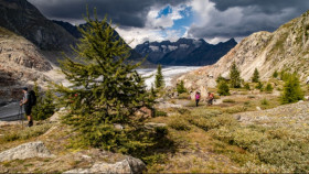 Image 31 of 74 -
            Experience Yoga to get an impression of Travel at Riederalp