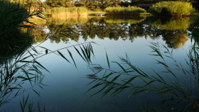 Image 12 of 12 -
            Experience Nature to get an impression of Grundlagen-Workshop at Zurndorf