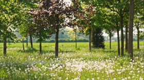 Image 4 of 5 -
            Experience Breathing to get an impression of Atemklasse at Perg