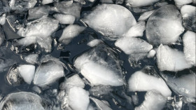 Image 9 of 12 -
            Experience Theory to get an impression of WHM Grundlagen-Workshop at Spechbach