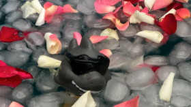 Image 8 of 12 -
            Experience Theory to get an impression of WHM Grundlagen-Workshop at Manching