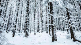 Image 14 of 16 -
            Experience Yoga to get an impression of WHM Weekend at Reichenbach im Kandertal