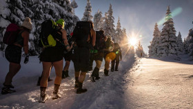 Image 13 of 16 -
            Experience Yoga to get an impression of WHM Weekend at Reichenbach im Kandertal