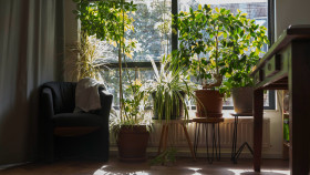 Image 11 of 12 -
            Experience Theory to get an impression of WHM Fundamentals Workshop at 's-Hertogenbosch