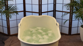 Image 2 of 2 -
            Experience Theory to get an impression of WHM Workshop-Grundlagen at Wiesbaden