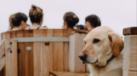 Image 5 of 12 -
            Experience Nature to get an impression of Weekend at Liscannor
