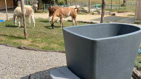 Image 5 of 14 -
            Experience Ice Bath to get an impression of WHM Workshop-Grundlagen at Marthalen