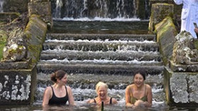 Image 6 of 19 -
            Experience Nature to get an impression of WHM Fundamentals Workshop at Cheltenham