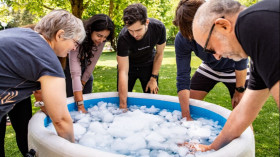 Image 10 of 33 -
            Experience Theory to get an impression of WHM Fundamentals Workshop at Zürich