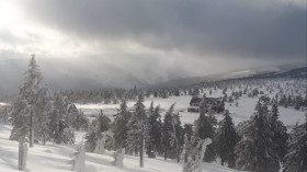 Image 20 of 24 -
            Experience Nature to get an impression of WHM Travel at Przesieka