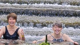 Image 10 of 19 -
            Experience Nature to get an impression of WHM Fundamentals Workshop at Cheltenham