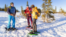 Image 8 of 15 -
            Experience Theory to get an impression of WHM Travel at Hackås