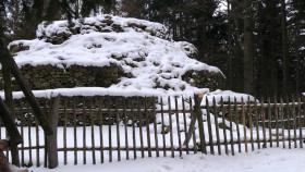 Image 10 of 21 -
            Experience Nature to get an impression of WHM-Wochenende at Schloß Rosenau