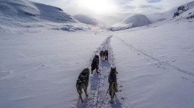 Image 1 of 12 -
            Experience Theory to get an impression of WHM Travel at Nordberg