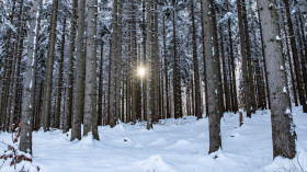Image 6 of 16 -
            Experience Yoga to get an impression of WHM Weekend at Reichenbach im Kandertal
