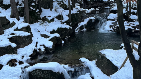 Image 15 of 24 -
            Experience Nature to get an impression of WHM Travel at Przesieka