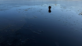 Image 5 of 6 -
            Experience Breathing to get an impression of Grundlagen-Workshop at Schrems