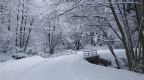 Image 9 of 17 -
            Experience Breathing to get an impression of Atelier Fondamentaux WHM at Montoulieu